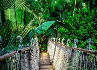 Czy kurs daje zawód?