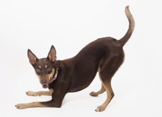 Co składa się na treść kształcenia? Co składa się na treść kształcenia?