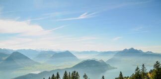 Ile czasu ma komornik na ściągnięcie długu? Ile czasu ma komornik na ściągnięcie długu?