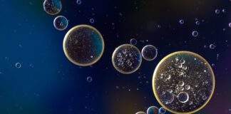 Kto decyduje o zawieszeniu nauki w szkole i przejściu na nauczanie zdalne w jakich przypadkach?