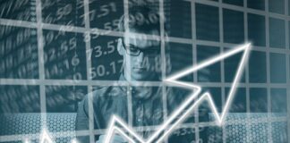 Jakie są podstawowe kompetencje firmy?