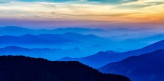 Czy doradca podatkowy może pracować zdalnie?