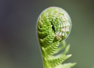W jaki sposób rozwijać zespół?