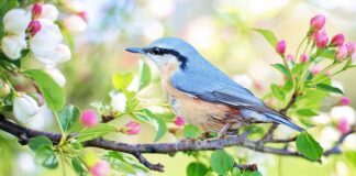 Czy od siedzenia rośnie pupa?