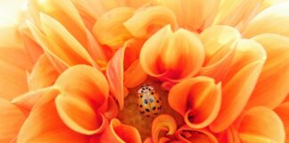 Co to jest efektywne zarządzanie czasem? Co to jest efektywne zarządzanie czasem?