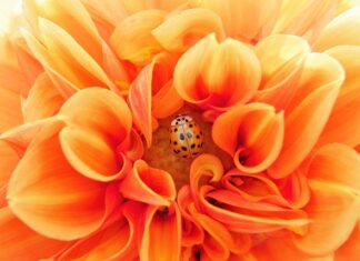 Co to jest efektywne zarządzanie czasem?