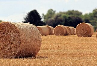 Na czym polega rola menedżera? Na czym polega rola menedżera?