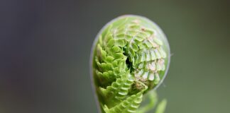 Jak rozwijać kompetencje społeczne uczniów? Jak rozwijać kompetencje społeczne uczniów?